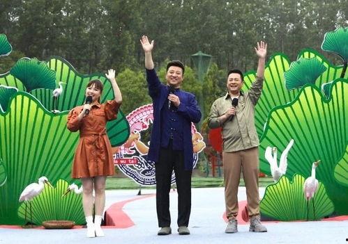 爆料睢宁古墓视频最新,神秘历史宝藏重现世间  第1张